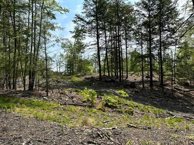 0A Old Turnpike Road, Northwood, NH, 03261