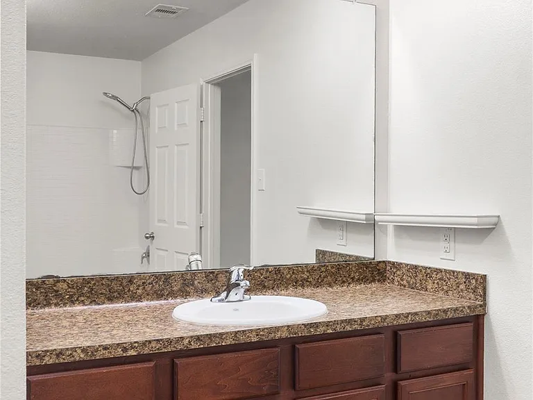 317 Falling Pine Dr — Photo 14