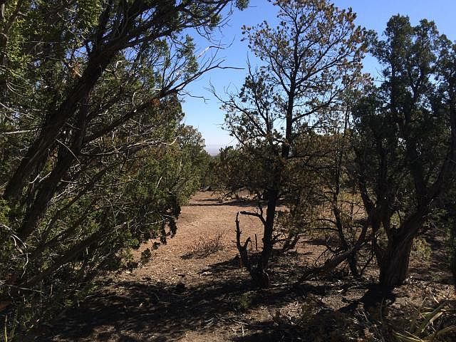2nd image of 29 Morper Ln #2B