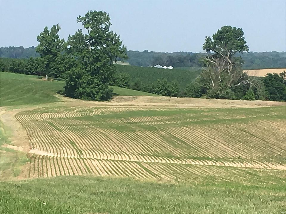1st image of 297 County Highway 241