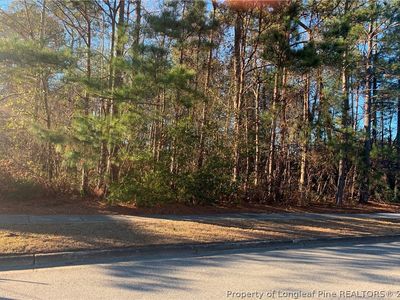 Willow Oak Dr, Lumberton, NC, 28358