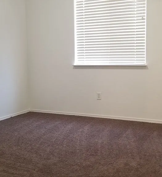 4700 Betony Dr — Photo 15