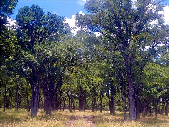 5th image of 3370 County Road 236