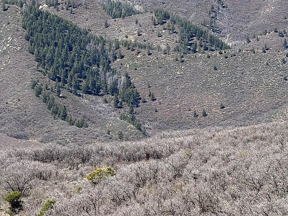 5th image of 0 S Fork Rd