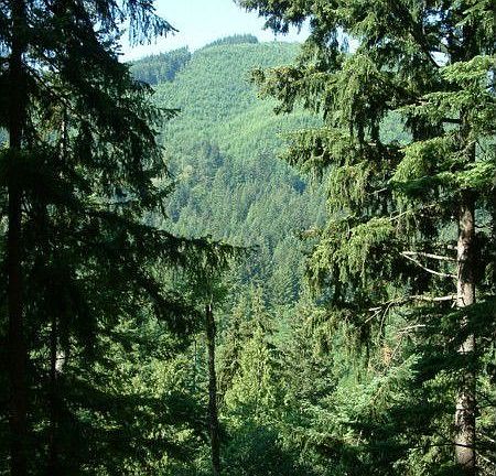 Mountain View from Deck