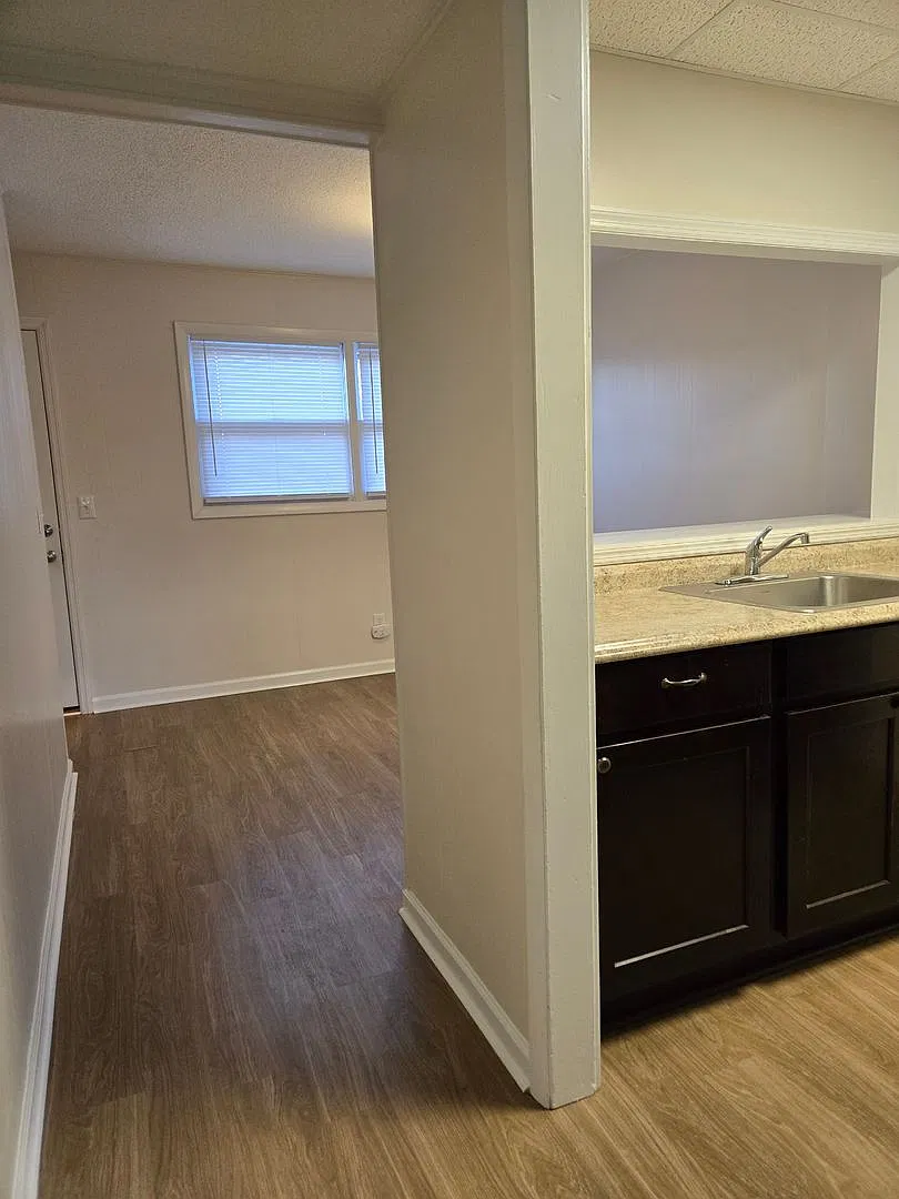 332 Old Gray Station Road #7 Gray, TN 37615 — Photo 3