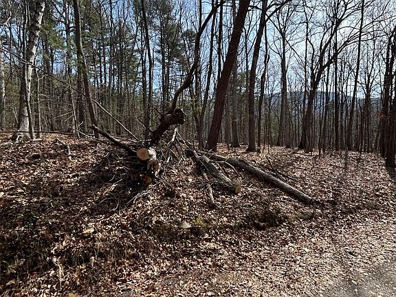 3rd image of 301 Abbotts Ln