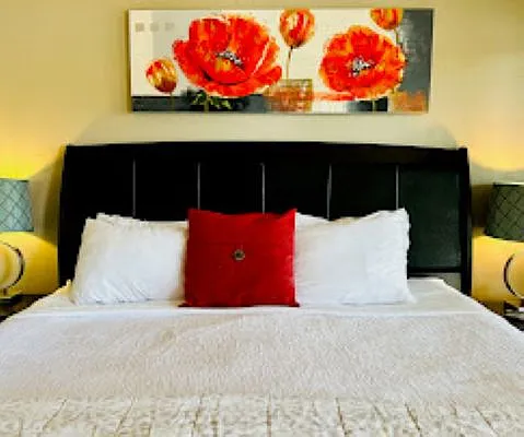 1 bed, 500 sqft, $1,175 — Photo 3