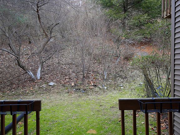 The view from your deck