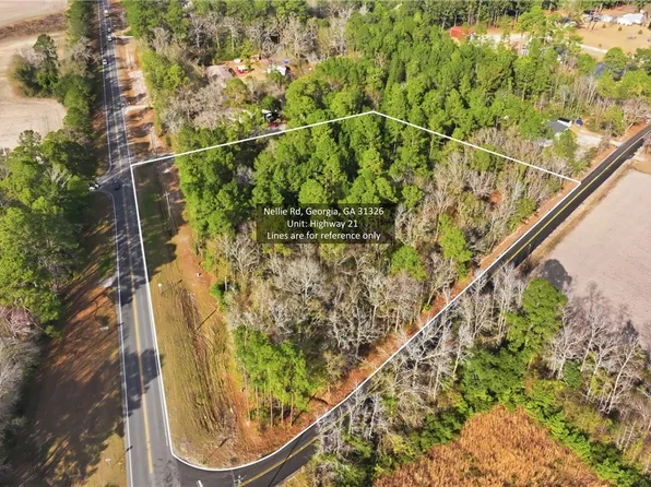 0 Nellie Road, Rincon, GA 31326