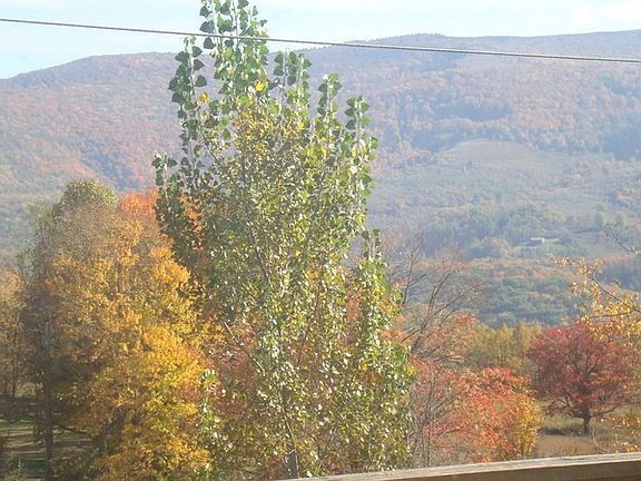 Autumn day looking off back deck!
						:
						Fall brings a full range of colors to enjoy from the deck!