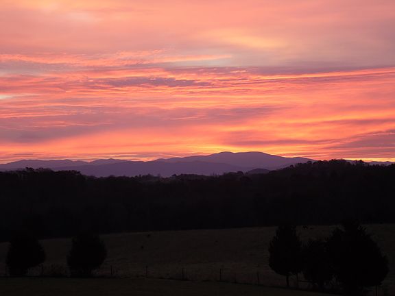 View from deck in summer