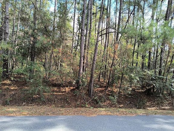 2nd image of 312 Black River Dr