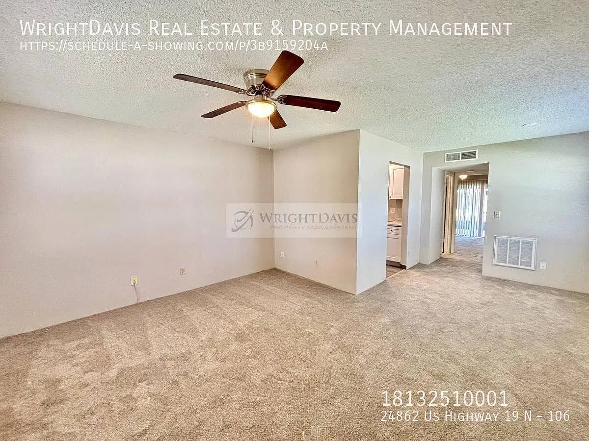 24862 US Highway 19 N — Photo 2