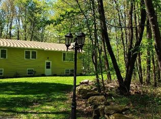 18 Park Dr, Parksville, NY 12768