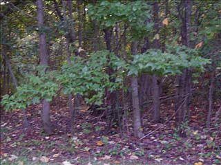 1st image of 107 Carolina Club Dr