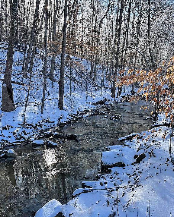 2nd image of 2410 Carters Run Rd