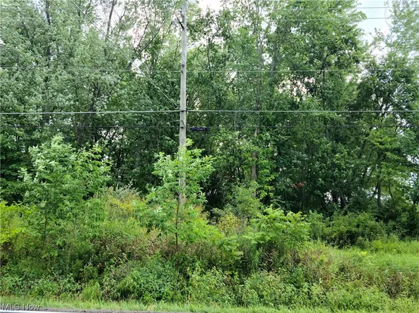 Struthers Rd, Youngstown, OH 44514