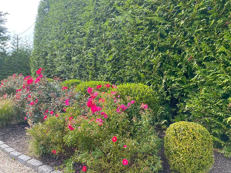 443 Sagaponack Rd — Photo 32