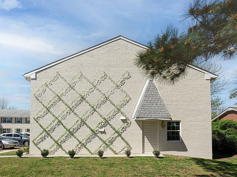 Meadow Brook Terrace — Photo 12