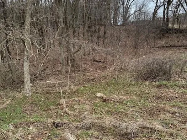 V/l W Peck Lake Rd, Lowell, MI 49331