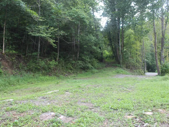 137 Keysa Dr, Duff, TN 37729