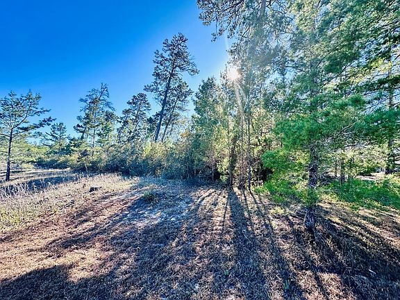 2nd image of 228 Lake Pristine Cir
