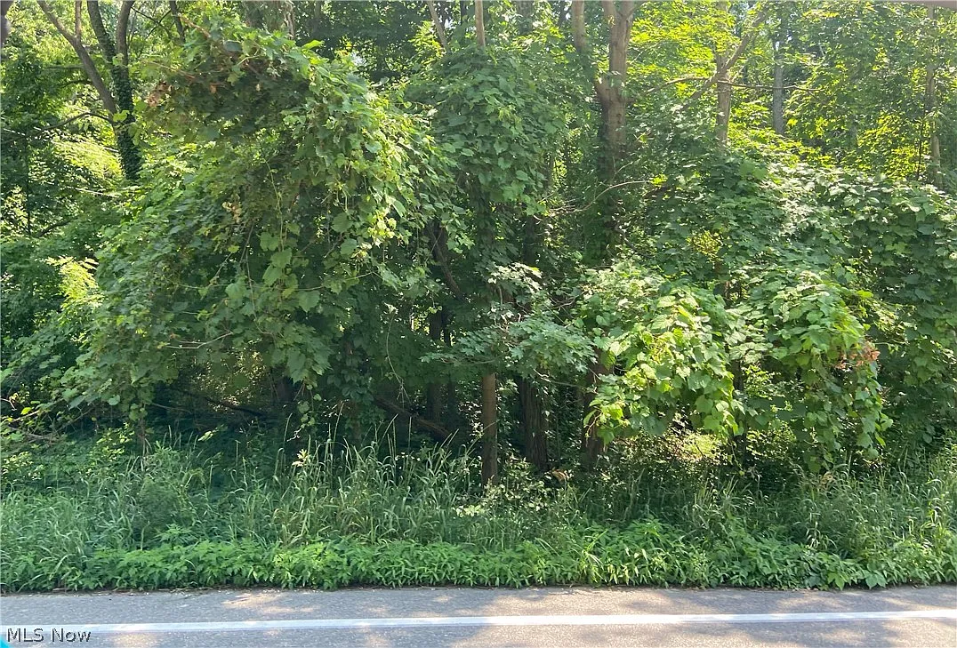 Bradley Rd photo 1