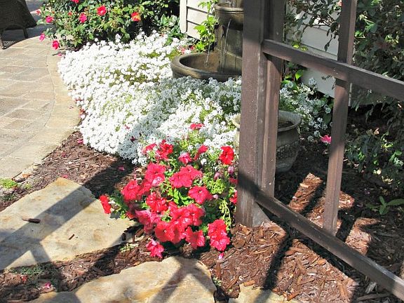 professionally landscaped