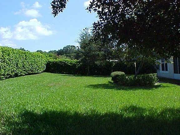 Large Back Yard