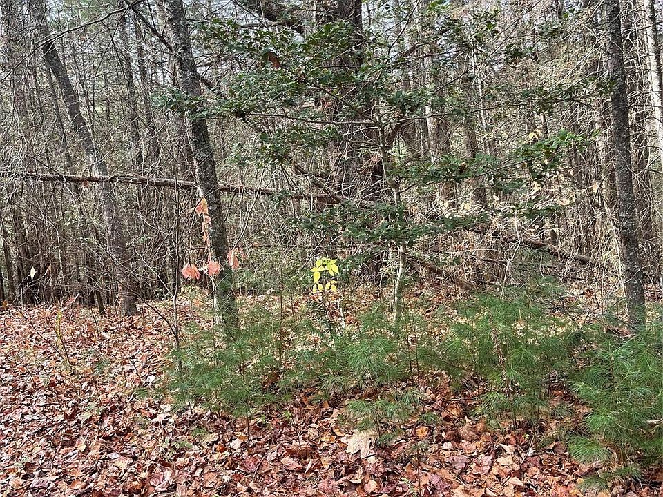 2nd image of 50 Mountain Escape Dr