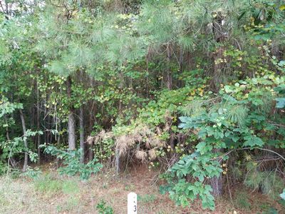 4 Brandon Pines Ct #236, Pittsboro, NC, 27312