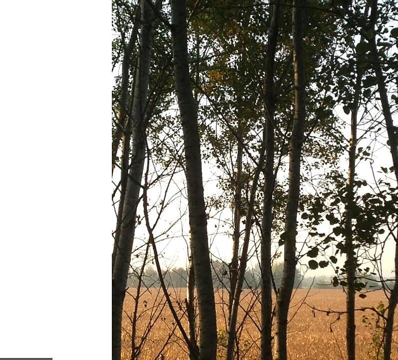 2nd image of Xxx 163rd St