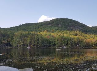Beaver Pond Rd, Adirondack, NY 12808