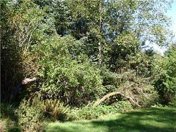 1st image of 562 Makah Ave SE