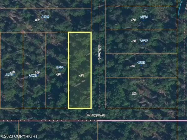 L438 Whopper Ave, Willow, AK 99688