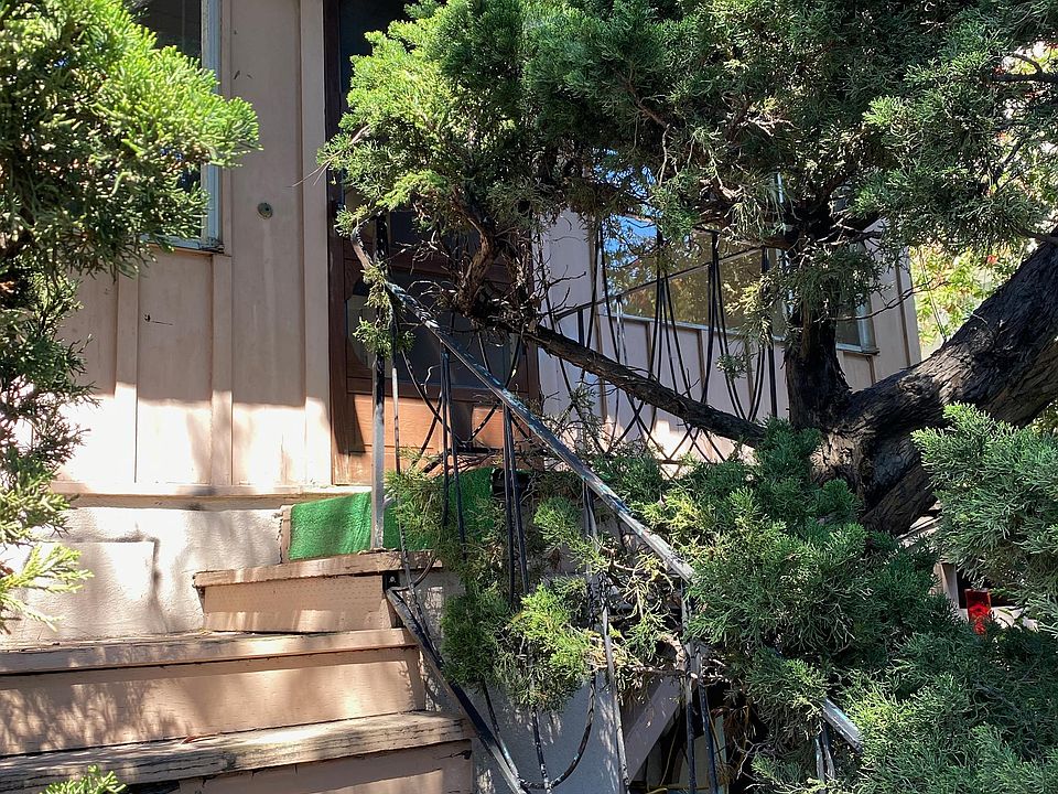 1st image of 556 El Camino Real #10538646