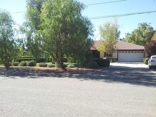 Live Oak3