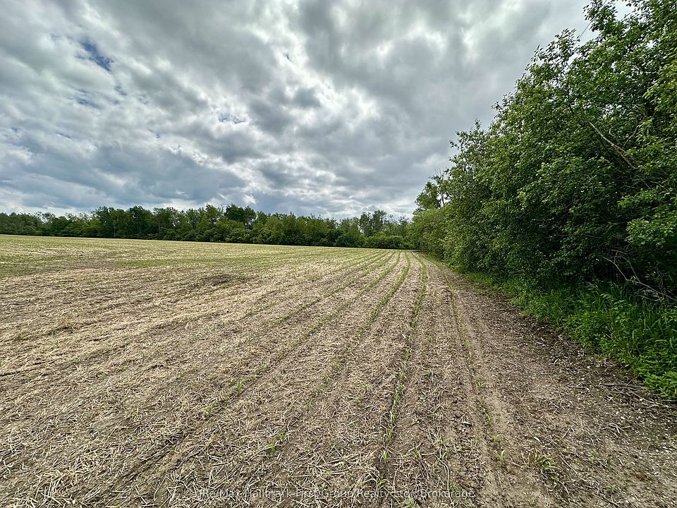 2nd image of 430 Scugog St #6
