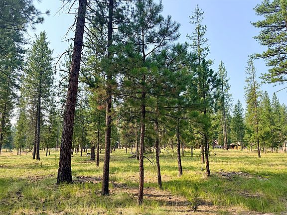 3rd image of 723 Timberlane