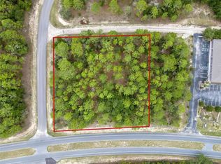 9787 N Citrus Springs Blvd, Dunnellon, FL 34434