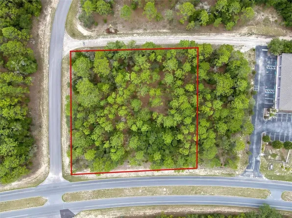 9787 N Citrus Springs Blvd, Dunnellon, FL 34434