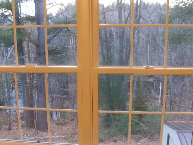 View of back yard