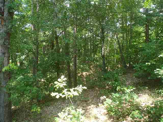 2nd image of LOT 16 Rocky Springs Dr