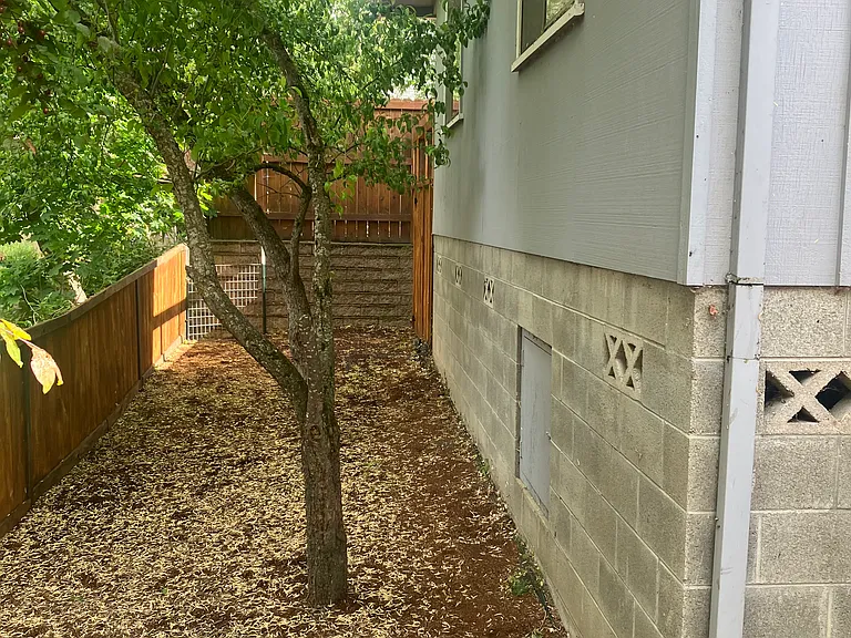 172 California St #3 — Photo 5