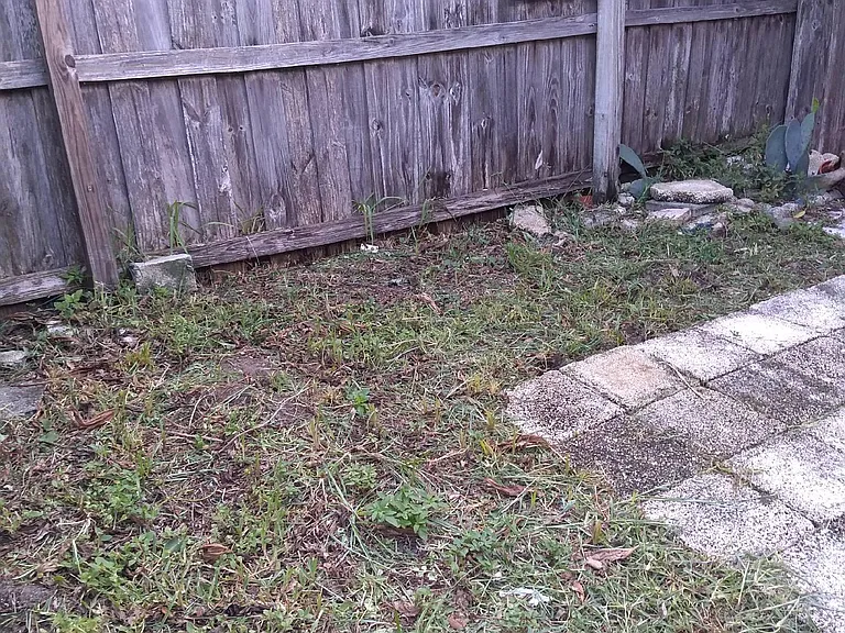 Privacy fence and patio area