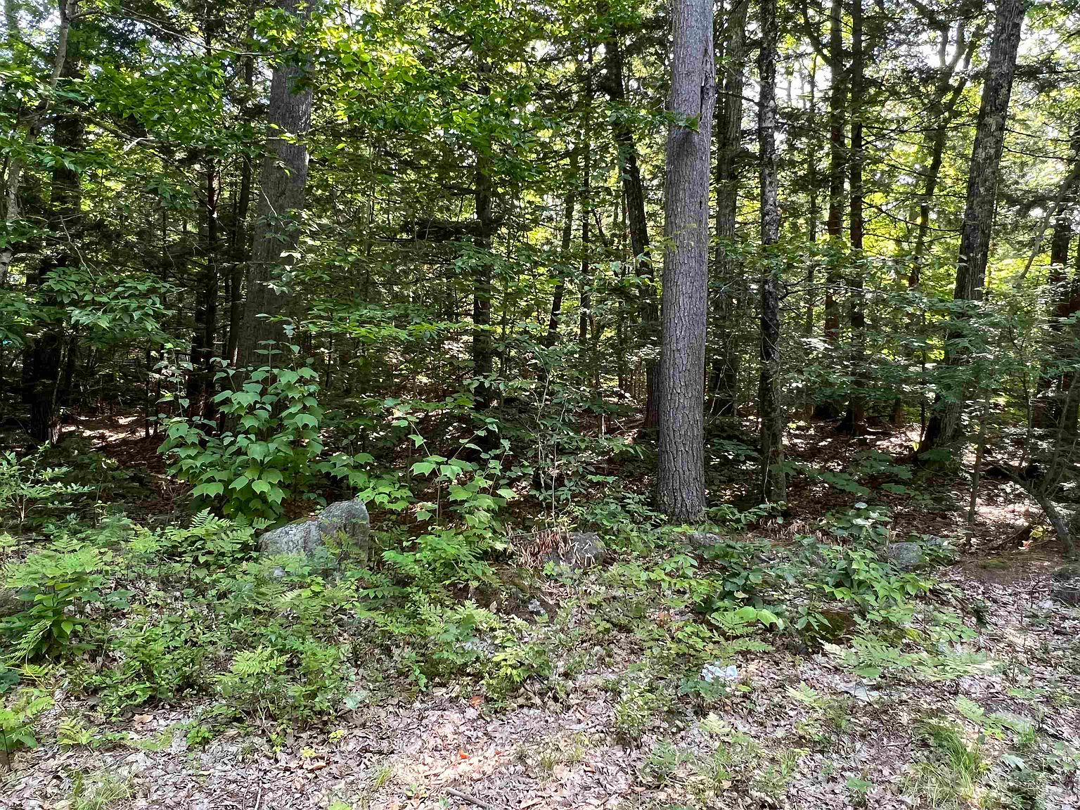 173-deer-meadow-rd-concord-nh-03303-zillow