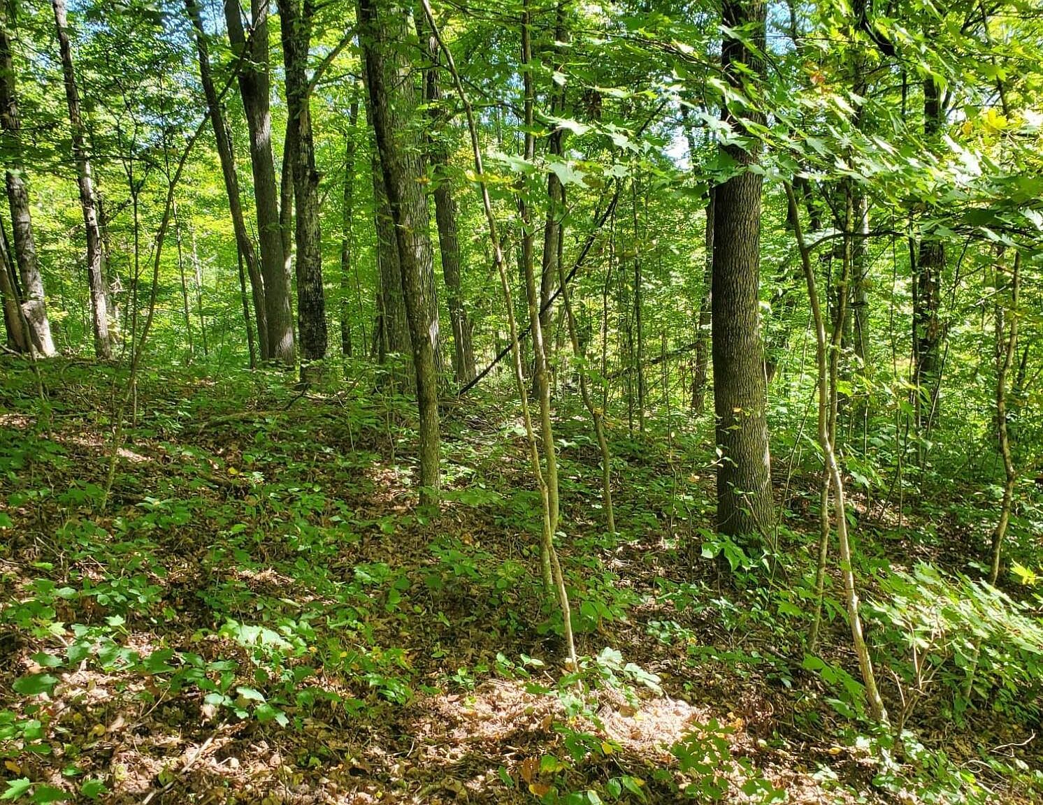 0 Johnsons Ridge Rd, Sneedville, TN 37869 MLS 702015 Zillow