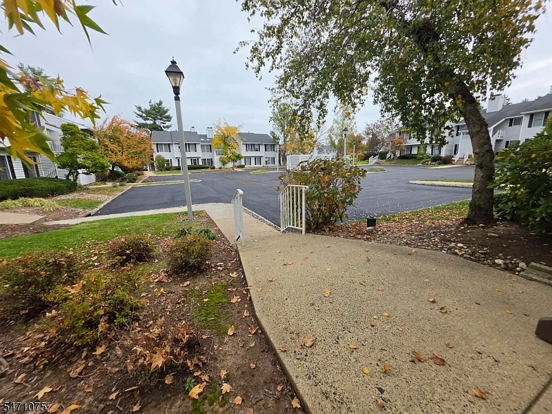 2 bed, 2.0 bath, $2,800 — Photo 2
