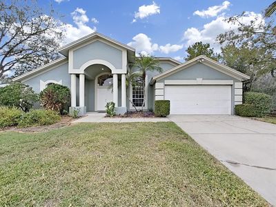 2010 Alafia Oaks Dr, Valrico, FL, 33596